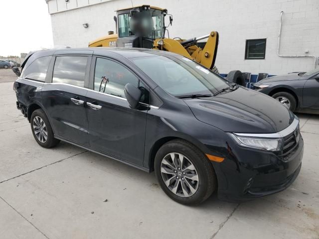 2024 Honda Odyssey EXL