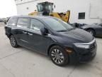 2024 Honda Odyssey EXL