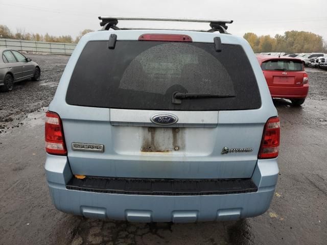 2008 Ford Escape HEV