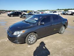 Toyota Corolla Base salvage cars for sale: 2010 Toyota Corolla Base