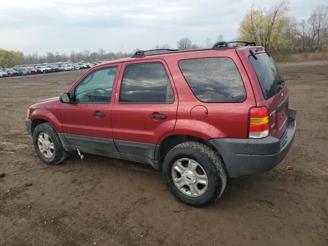 2004 Ford Escape XLT