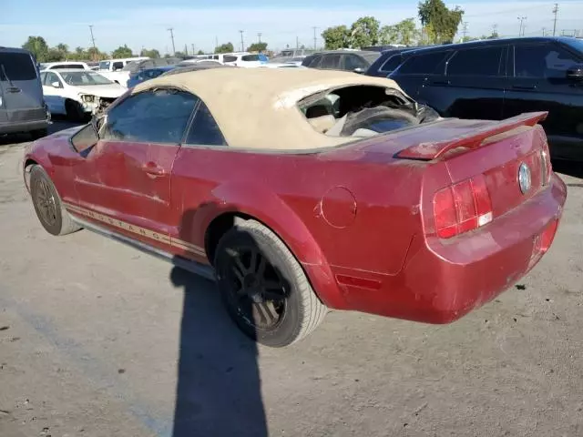 2005 Ford Mustang