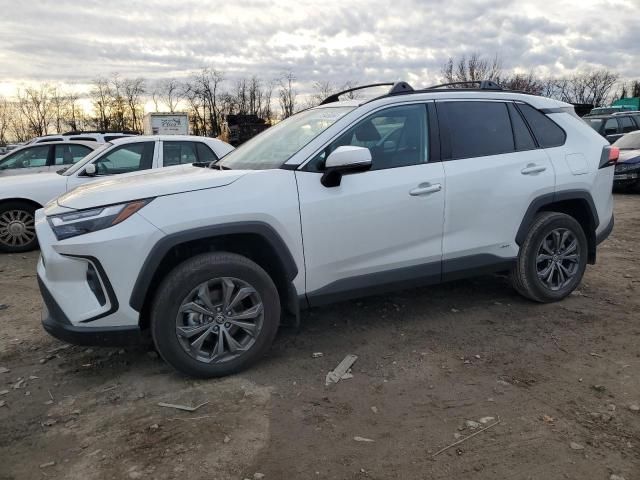 2024 Toyota Rav4 XLE Premium