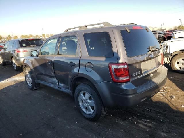 2011 Ford Escape XLT