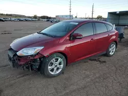 Salvage cars for sale at Colorado Springs, CO auction: 2013 Ford Focus SE