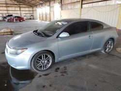 Scion salvage cars for sale: 2006 Scion TC