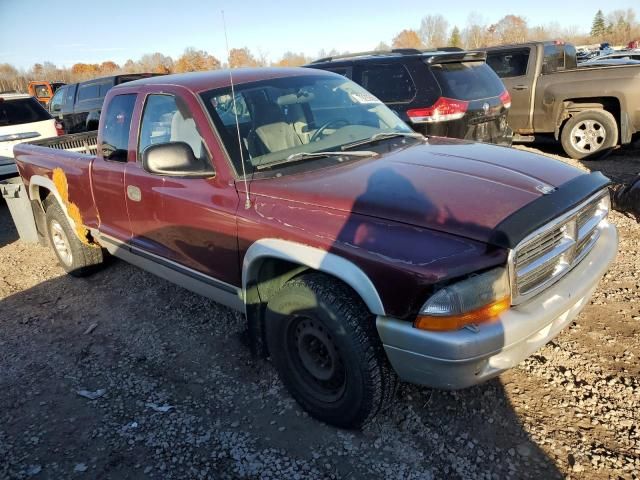 2003 Dodge Dakota SLT