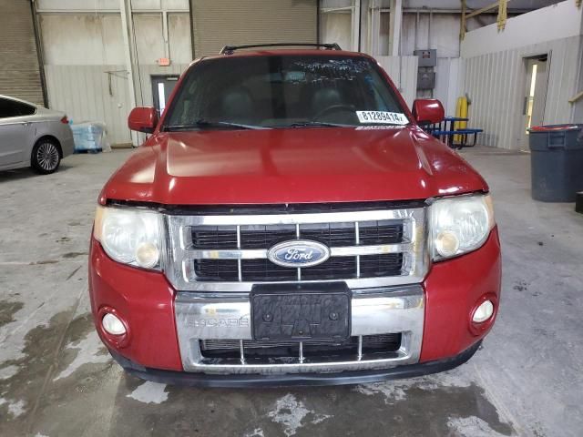 2011 Ford Escape Limited