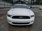 2013 Ford Mustang