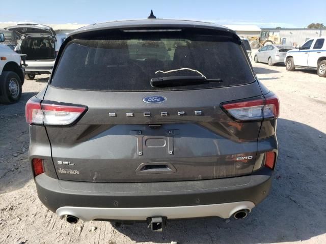 2022 Ford Escape SEL