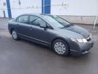 2010 Honda Civic DX