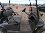 2024 Ezgo Golf Cart