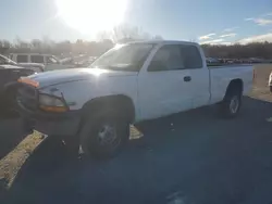 Salvage cars for sale from Copart Assonet, MA: 1999 Dodge Dakota