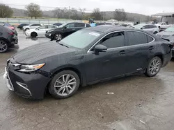 Lexus Vehiculos salvage en venta: 2017 Lexus ES 300H