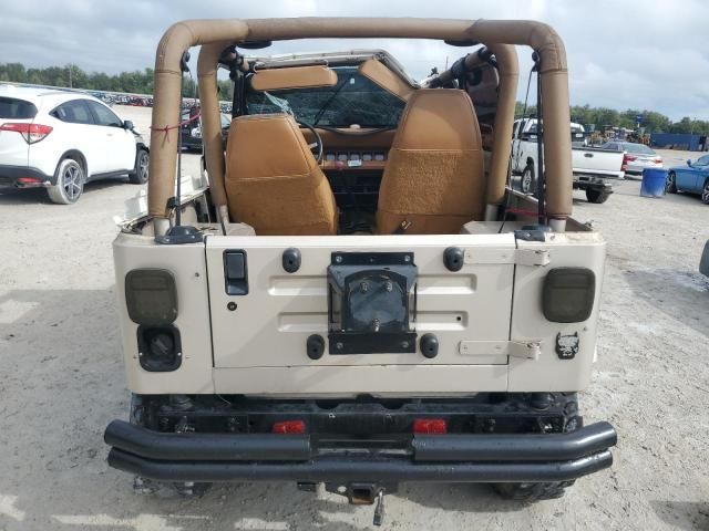 1995 Jeep Wrangler / YJ S