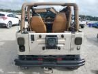 1995 Jeep Wrangler / YJ S