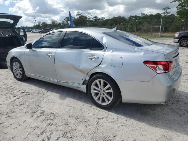 2010 Lexus ES 350