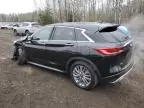 2023 Infiniti QX50 Pure