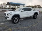 2019 Toyota Tacoma Double Cab