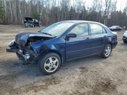 2006 Toyota Corolla CE en venta en Cookstown, ON