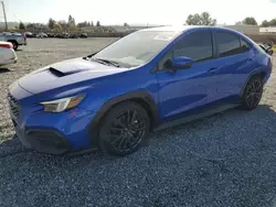 Salvage cars for sale at Mentone, CA auction: 2024 Subaru WRX Premium