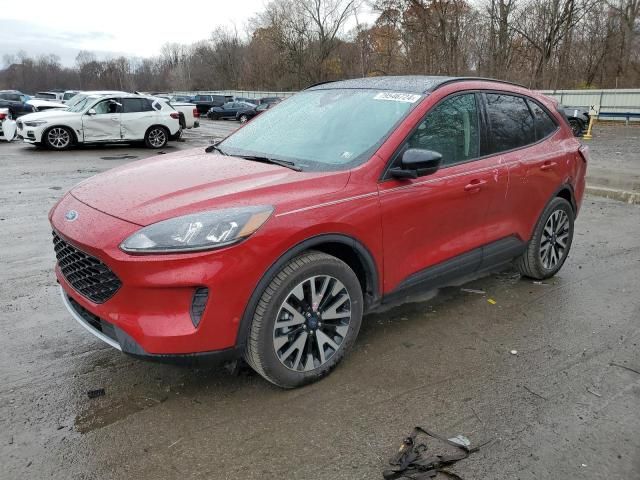 2020 Ford Escape SE Sport