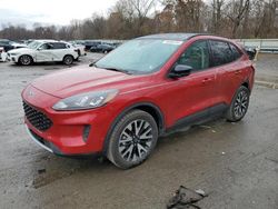 4 X 4 for sale at auction: 2020 Ford Escape SE Sport