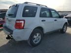 2010 Ford Escape XLS