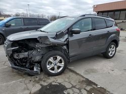 Salvage cars for sale at Fort Wayne, IN auction: 2016 Ford Escape SE