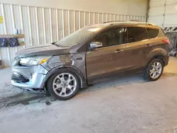 Salvage cars for sale from Copart Abilene, TX: 2014 Ford Escape Titanium