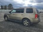 2009 Honda Pilot EXL