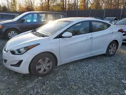 Hyundai Elantra salvage cars for sale: 2016 Hyundai Elantra SE