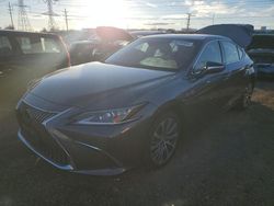 2020 Lexus ES 350 en venta en Elgin, IL