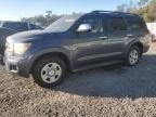 2010 Toyota Sequoia Platinum