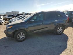 Salvage cars for sale at Tucson, AZ auction: 2011 KIA Sorento Base