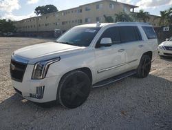 Vehiculos salvage en venta de Copart Opa Locka, FL: 2016 Cadillac Escalade Luxury