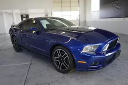 Lotes con ofertas a la venta en subasta: 2013 Ford Mustang GT