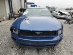 2006 Ford Mustang