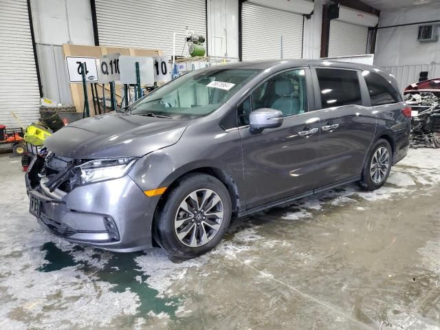 2023 Honda Odyssey EXL