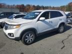 2011 KIA Sorento Base