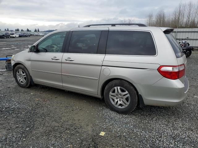 2005 Honda Odyssey EX