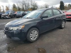 KIA Forte salvage cars for sale: 2013 KIA Forte EX