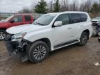 2019 Lexus GX 460