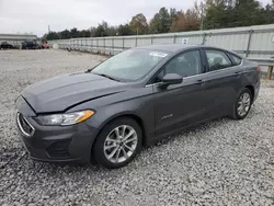 Ford Fusion se Vehiculos salvage en venta: 2019 Ford Fusion SE