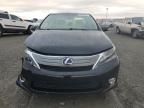 2011 Lexus HS 250H