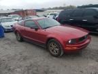 2005 Ford Mustang