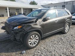 Salvage cars for sale at Prairie Grove, AR auction: 2011 KIA Sorento EX