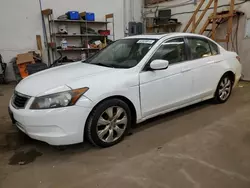 Honda salvage cars for sale: 2008 Honda Accord EXL