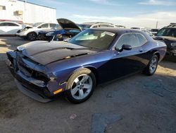 Salvage cars for sale at Tucson, AZ auction: 2013 Dodge Challenger SXT