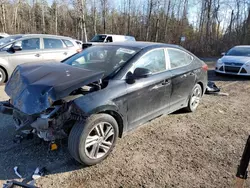 2020 Hyundai Elantra SEL en venta en Cookstown, ON